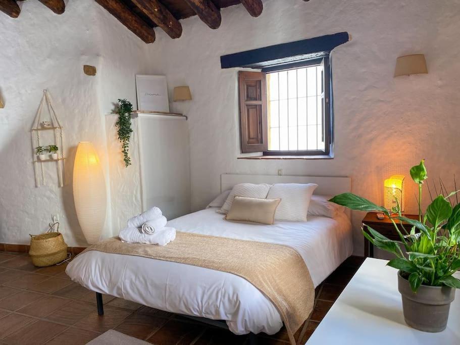 Casabenadalid. Casa Rural Con Piscina. Benadalid Exterior foto